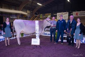 Jungkuhchampion Passat GUYANA Albert Urs Alpnachstad